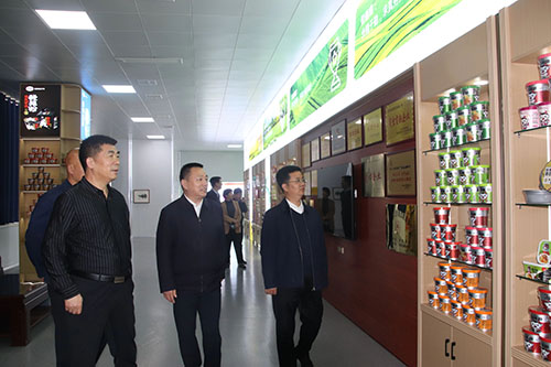 國(guó)家、省、市鄉(xiāng)村振興局等**一行蒞臨麗星公司進(jìn)行調(diào)研工作