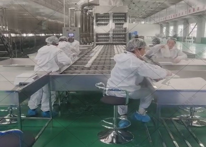 麗星日產(chǎn)10噸的粉絲生產(chǎn)線試機進行中