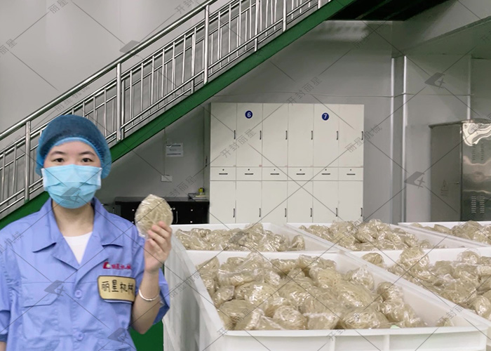 從原料到口感，讀懂方便粉絲與方便面的差異